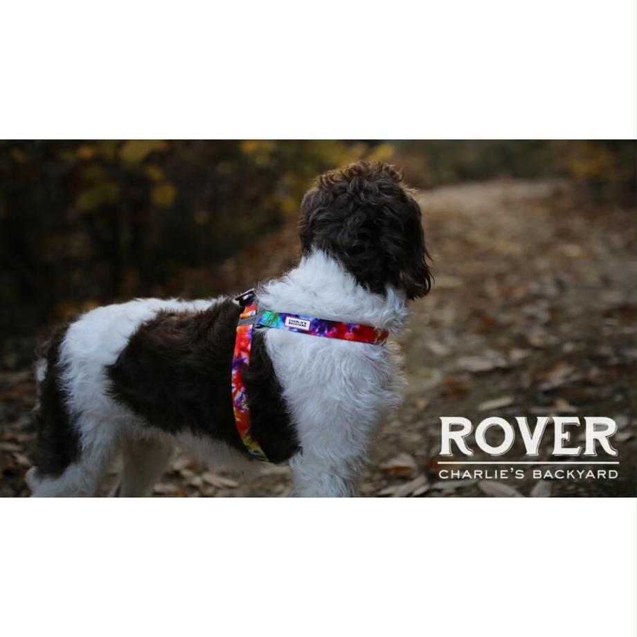 ROVER HARNESS – BUHISOL