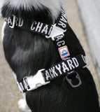 TRIP HARNESS トリップハーネス  BLACK