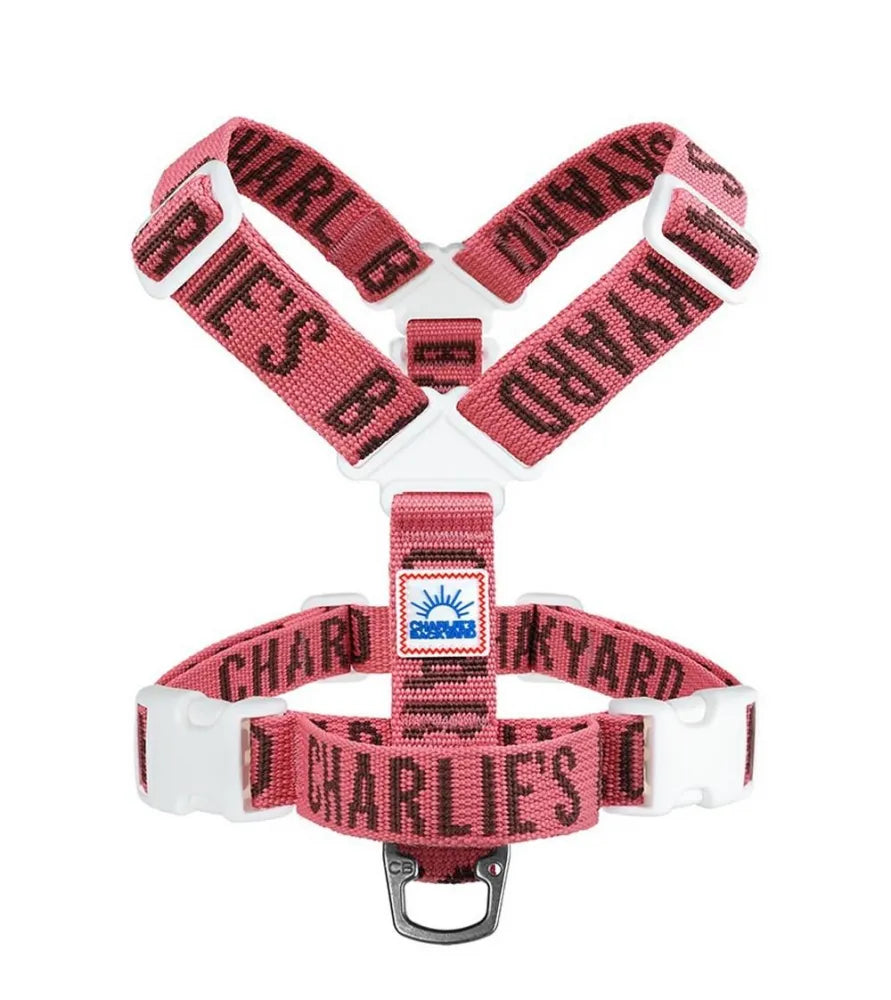 CHARLIE'S BACKYARD(チャーリーズバックヤード） – BUHISOL