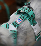 TRIP HARNESS トリップハーネス  MINT