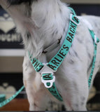 TRIP HARNESS トリップハーネス  MINT