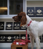 TRIP COLLAR BERRY トリップカラーベリー