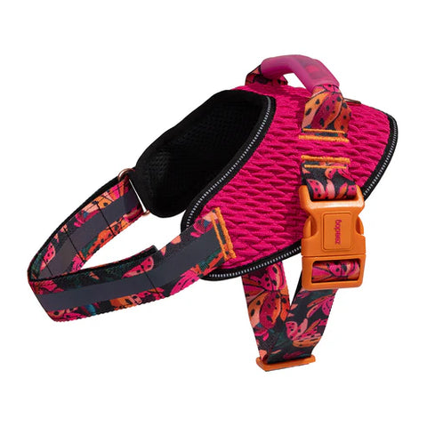 FARM RIO SELVA FLY HARNESS ファームリオ セルバ フライハーネス