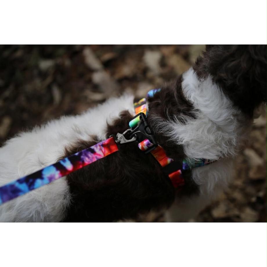 ROVER HARNESS – BUHISOL