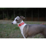 TRIP COLLAR M トリップカラーM