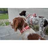 TRIP COLLAR M トリップカラーM