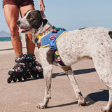 FARM RIO SAMBA FLY HARNESS ファームリオ サンバ フライハーネス