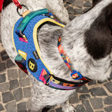 FARM RIO SAMBA FLY HARNESS ファームリオ サンバ フライハーネス