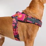 FARM RIO SELVA FLY HARNESS ファームリオ セルバ フライハーネス