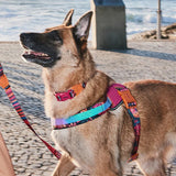 FARM RIO SELVA FLY HARNESS ファームリオ セルバ フライハーネス