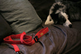 FIELD LEASH【RED,YELLOW,NAVY】
