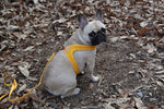 BUCKLE UP EASY HARNESS 【YELLOW,BLUE,GRAY】